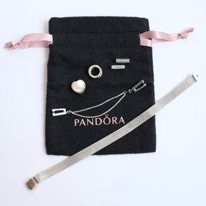 Pandora Reflexions Mesh Braclet and Charms